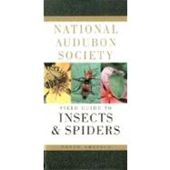 National Audubon Society Field Guide to Insects and Spiders North America by Unknown, 9780394507637