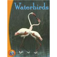 Waterbirds by Davidson, Avelyn, 9780757857638