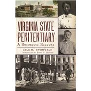 Virginia State Penitentiary by Brumfield, Dale M.; Hopkins, Evans D., 9781467137638