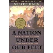 A Nation Under Our Feet by Hahn, Steven, 9780674017658