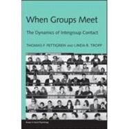 When Groups Meet: The Dynamics of Intergroup Contact by Pettigrew; Thomas F., 9781841697659