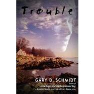 Trouble by Schmidt, Gary D., 9780618927661