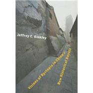 Visions of Dystopia in China's New Historical Novels by Kinkley, Jeffrey C., 9780231167680