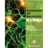Neuroanatomy and Neuroscience at a Glance + Website by Barker, Roger A.; Cicchetti, Francesca, 9780470657683