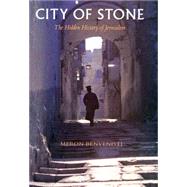 City of Stone by Benvenisti, Meron, 9780520207684