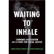 Waiting to Inhale Cannabis Legalization and the Fight for Racial Justice by Owusu-Bempah, Akwasi; Rehmatullah, Tahira, 9780262047685
