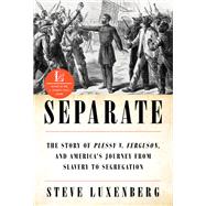 Separate The Story of Plessy v. Ferguson, and America's Journey from Slavery to Segregation by Luxenberg, Steve, 9780393357691