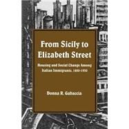 From Sicily to Elizabeth Street : Housing and Social Change among Italian Immigrants, 1880-1930 by Gabaccia, Donna R., 9780873957694