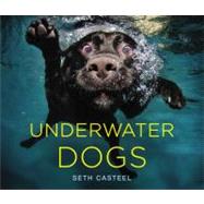 Underwater Dogs by Casteel, Seth, 9780316227704