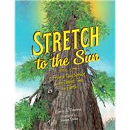 Stretch to the Sun From a Tiny Sprout to the Tallest Tree on Earth by Pearson, Carrie A.; Swan, Susan, 9781580897716