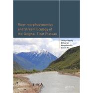 River Morphodynamics and Stream Ecology of the Qinghai-Tibet Plateau by Wang; Zhaoyin, 9781138027718