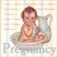 The Little Big Book of Pregnancy by Fried, Katrina; Tabori, Lena, 9780941807722