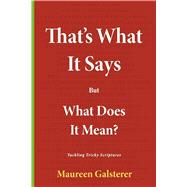 That's What It Says But What Does It Mean? by Galsterer, Maureen, 9798350997750
