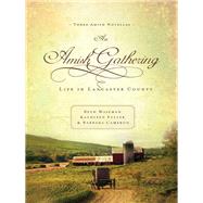An Amish Gathering by Wiseman, Beth; Cameron, Barbara; Fuller, Kathleen, 9780718097752
