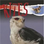 Kites by Lundgren, Julie K., 9781606947777