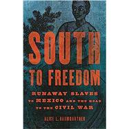 South to Freedom Runaway Slaves to Mexico and the Road to the Civil War by Baumgartner, Alice L, 9781541617780