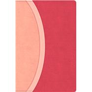 CSB Rainbow Study Bible, Pink LeatherTouch by CSB Bibles by Holman, 9798384557784