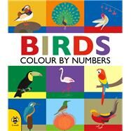 Birds: Colour by Numbers by Hutchinson, Sam; Betts, Anna, 9781909767812