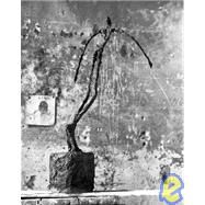 Henri Cartier-bresson And Alberto Giacometti by Cartier-Bresson, Henri; Giacometti, Alberto; Bezzola, Tobia, 9783908247852
