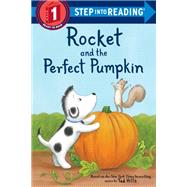 Rocket and the Perfect Pumpkin by Hills, Tad, 9780593177853