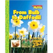 From Bulb to Daffodil (Scholastic News Nonfiction Readers: How Things Grow) by Weiss, Ellen, 9780531187876