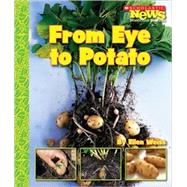 From Eye to Potato (Scholastic News Nonfiction Readers: How Things Grow) by Weiss, Ellen, 9780531187883