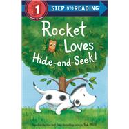 Rocket Loves Hide-and-seek! by Hills, Tad, 9780593177891