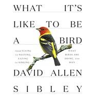 What It's Like to Be a Bird From Flying to Nesting, Eating to Singing--What Birds Are Doing, and Why by Sibley, David Allen, 9780307957894
