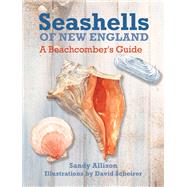 Seashells of New England A Beachcomber's Guide by Sept, J. Duane; Scheirer, David; Allison, Sandy, 9781493027897