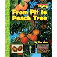 From Pit to Peach Tree by Weiss, Ellen, 9780531187913