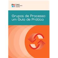 Process Groups: A Practice Guide (BRAZILIAN PORTUGUESE) by Unknown, 9781628257946