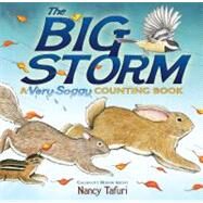 The Big Storm A Very Soggy Counting Book by Tafuri, Nancy; Tafuri, Nancy, 9781416967958