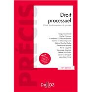 Droit processuel. Droits fondamentaux du procs - 10e d. by Serge Guinchard, 9782247187966