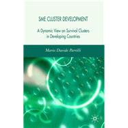 SME Cluster Development A Dynamic View of Survival Clusters in Developing Countries by Parrilli, Mario Davide, 9780230007970