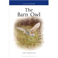 The Barn Owl by Warburton, Tony, 9781408137970