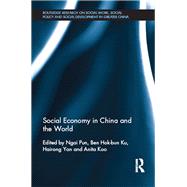 Social Economy in China and the World by Pun; Ngai, 9781138857971