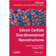 Silicon Carbide One-dimensional Nanostructures by Latu-romain, Laurence; Ollivier, Maelig, 9781848217973