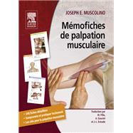 Mmofiches de palpation musculaire by Joseph E. Muscolino; Jean-Louis Estrade; Annie Gouriet; Michel Pillu; John Scott & Co, 9782294727979