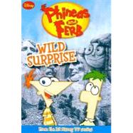 Phineas and Ferb Wild Surprise by Unknown, 9781423117988