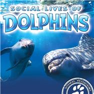 Social Lives of Dolphins by Laneve, Sue, 9781681918013