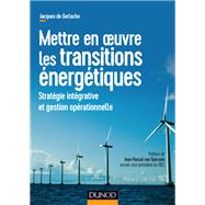 Mettre en oeuvre les transitions nergtiques by Jacques de Gerlache, 9782100788019