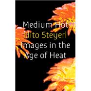 Medium Hot Images in The Age of Heat by Steyerl, Hito, 9781804298022