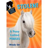 STOLEN! A Pony Called Pebbles by Orr, Wendy; Castelao, Patricia, 9781250068033