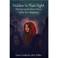 Hidden in Plain Sight by Lindholm, Dawn; Hela, Tamar, 9781518888045