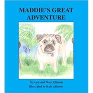 Maddie's Great Adventure by Allinson, Amy; Allinson, Kate; Allinson, Matt, 9781412068055
