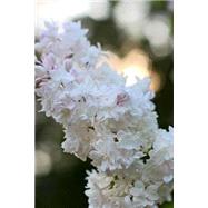 Blooming White Lilac Journal by I'm Really a Journal, 9781523808076
