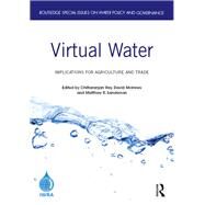 Virtual Water by Ray, Chittaranjan; McInnes, David; Sanderson, Matthew, 9780367408077