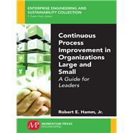 Continuous Process Improvement in Organizations Large and Small by Hamm, Robert E., Jr., 9781606508077