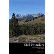 Civil Procedure Rules, Statutes, & Materials by Gunder, Jessica R., 9798870208084