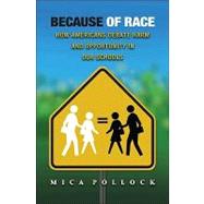 Because of Race by Pollock, Mica, 9780691148090